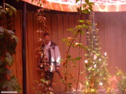 2004-07-GartenschauKehl