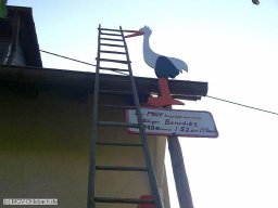 2007-06-Storch-fuer-Benedikt