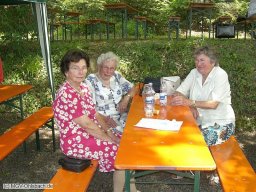 2008-06-Waldfest