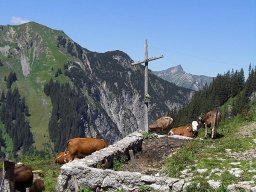 2008-07-Alpenwanderung