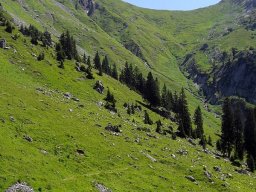 2008-07-Alpenwanderung