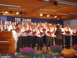 2008-11-Oberhainbrunn