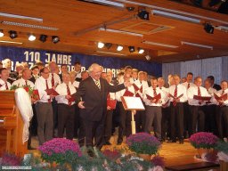 2008-11-Oberhainbrunn