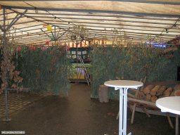 2009-01-Narrentreffen