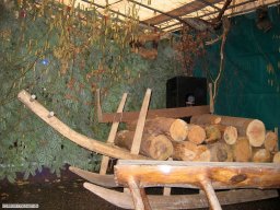 2009-01-Narrentreffen