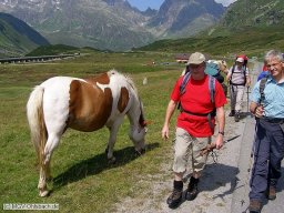 2009-07-Bergwanderung