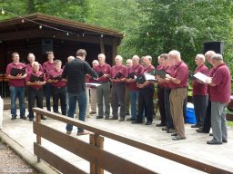 2010-07-Waldfest