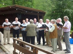 2010-07-Waldfest