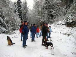 2010-12-Waldspeck