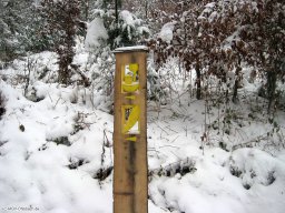 2010-12-Waldspeck