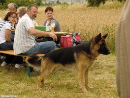 2011-03-Fasend
