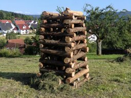 2012-06-Sonnwendfeuer