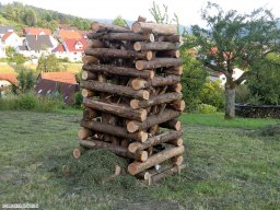 2012-06-Sonnwendfeuer