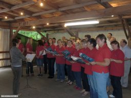 2012-07-Waldfest-Zunsweier-Sauweide