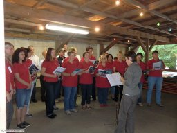 2012-07-Waldfest-Zunsweier-Sauweide