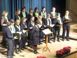 2012-12-2-LaVita-in-Freistett
