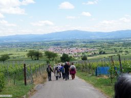 2014-05-Jahresausflug-Eichstetten