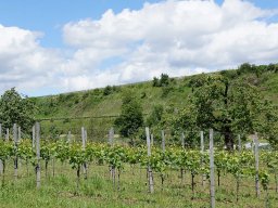 2014-05-Jahresausflug-Eichstetten
