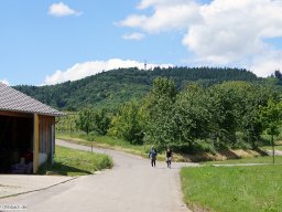 2014-05-Jahresausflug-Eichstetten