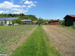 2014-05-Jahresausflug-Eichstetten