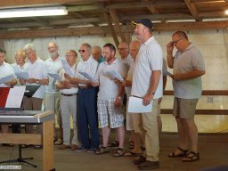 2015-06-2-MGV-Waldfest-Zunsweier-Sauweide
