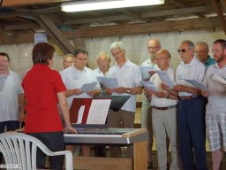 2015-06-2-MGV-Waldfest-Zunsweier-Sauweide