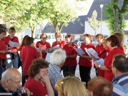 2015-06-LaVita-Freistett-Saengerhock