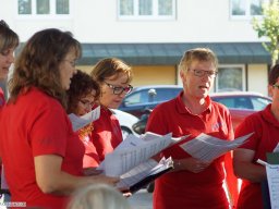 2015-06-LaVita-Freistett-Saengerhock