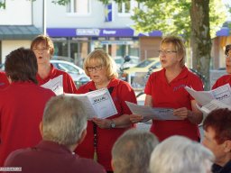 2015-06-LaVita-Freistett-Saengerhock