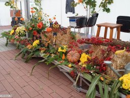 2015-10-Oktoberfest