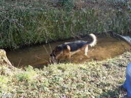 2016-02-Wanderung