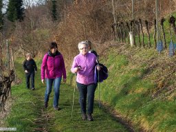 2016-02-Wanderung