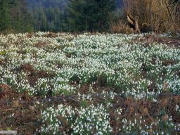 2016-02-Wanderung