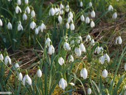 2016-02-Wanderung
