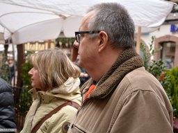 2016-12-Bernardswiller