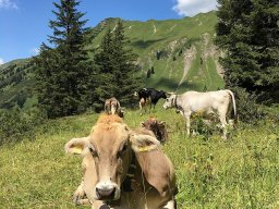 2017-07-Bergwanderung