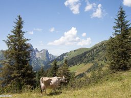 2017-07-Bergwanderung