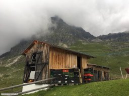 2017-07-Bergwanderung